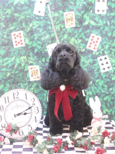 20250430そらくん